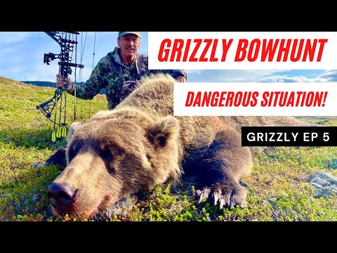Видео: Охота на медведей гризли с луком становится опасной | Реальность охоты на гигантских гризли с лук...