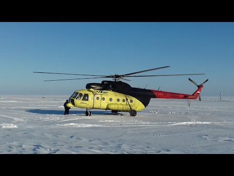 Видео: Каменный в сердце моём!!!