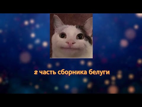 Видео: 2 часть txp studio (белуги) {на русском}