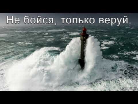 Видео: "Не бойся, только веруй". В. Н. Чухонцев. МСЦ ЕХБ