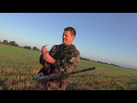 Видео: Охота с легавой на дупеля 2018г