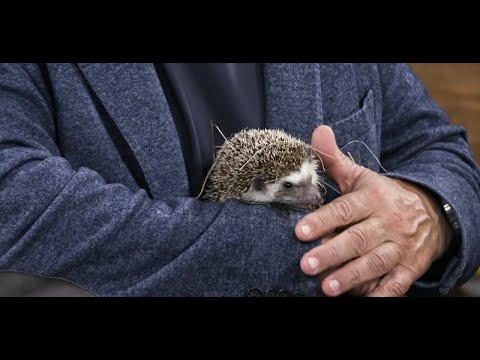 Видео: Для души и тела. Эксклюзив от доктора Мясникова: пессимизм – приговор или диагноз?..