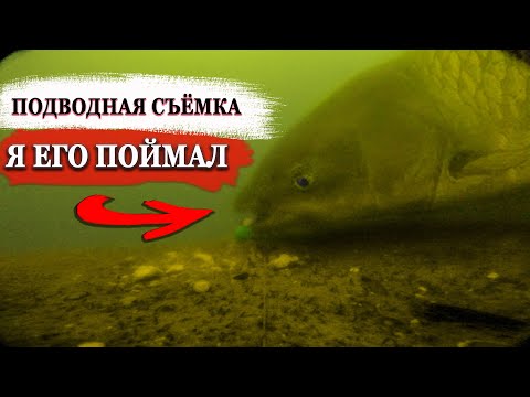 Видео: Секреты рыбалки, раскрытые с помощью подводных съёмок