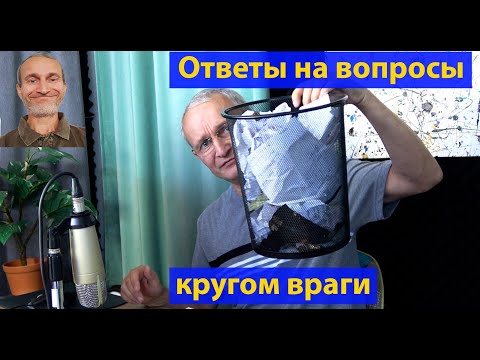 Видео: Политика. О ширине седалища и стульев. (видео 661)