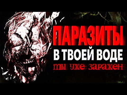 Видео: Аналог Хоррор про ПАРАЗИТОВ // The Tangi Virus Analog Horror