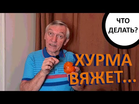 Видео: ХУРМА ВЯЖЕТ