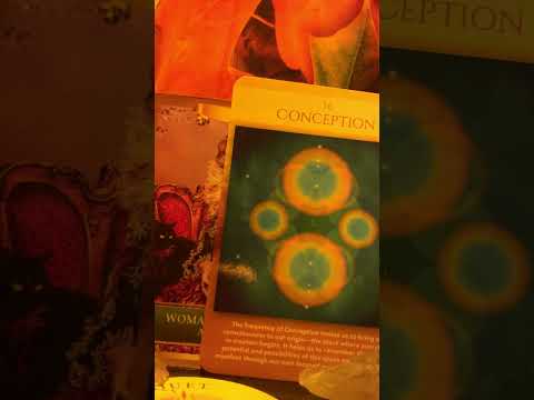 Видео: ВЫ НЕ ДАЁТЕ ДРУГИМ ВЛАСТИ ОПРЕДЕЛЯТЬ ВАШУ ЦЕННОСТЬ. ВАША ЦЕННОСТЬ НЕ ПОДЛЕЖИТ ОБСУЖДЕНИЮ!