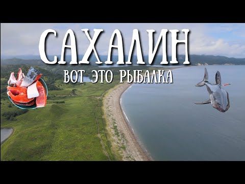 Видео: Сахалин - неожидал такого на рыбалке#сахалин #рыбалка #fishing #nature #море 
