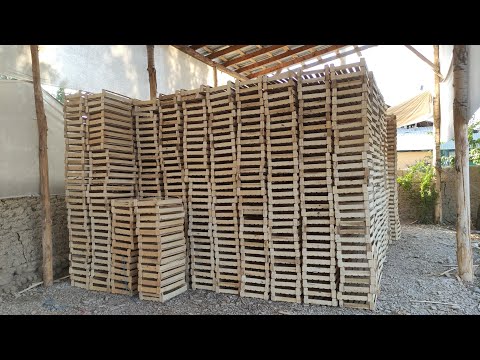 Видео: Күнүнө 1500 жашик жасап чыгарган ишкана || 2 мүнөттө 1 жашик жасайт экен