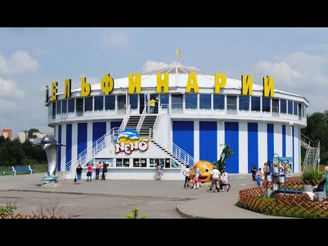 Видео: Дельфинарий в Минском зоопарке / Dolphinarium at the Minsk Zoo