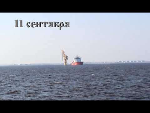 Видео: 11 сент. мыс Каменный