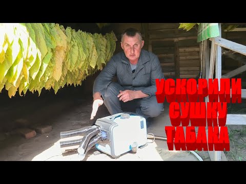 Видео: Как мы СУШИМ ТАБАК. Купили АВТОНОМНЫЙ ОТОПИТЕЛЬ.. Комментирует КОММЕНТАРИИ. ЖИЗНЬ В ДЕРЕВНЕ.
