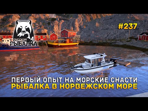 Видео: Первый опыт на Морские снасти. Рыбалка в Норвежском море - Русская Рыбалка 4 #237
