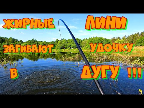 Видео: Ловля ЛИНЯ на УДОЧКУ с боковым КИВКОМ . Поисковая  РЫБАЛКА по ЖМУРКАМ !