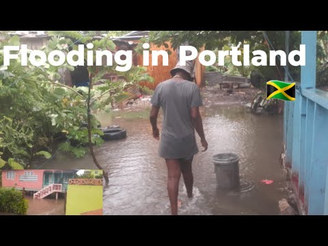 Видео: СИЛЬНЫЙ ливень вызвал серьёзное наводнение в Портленде 🇯🇲