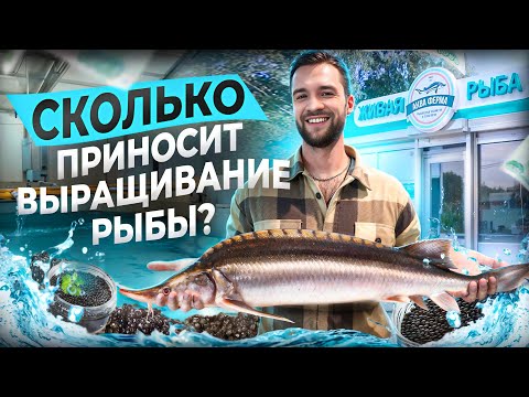 Видео: Секреты рыбной фермы: как растет осетр и как производят черную икру