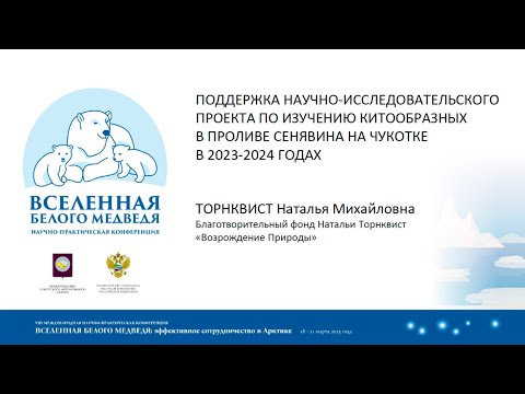 Видео: Поддержка проекта по изучению китообразных  в проливе Сенявина на Чукотке в 2023-2024 годах
