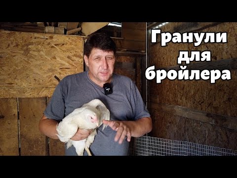 Видео: Роблю гранули для бройлерів, рецепт / гранулятор битовий ГКП-4-220 ТОВ.Артмаш / оптиміст #7