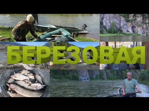 Видео: Заброшенная д. БЕРЕЗОВАЯ/ Балахтинский район/осталось 7 человек.
