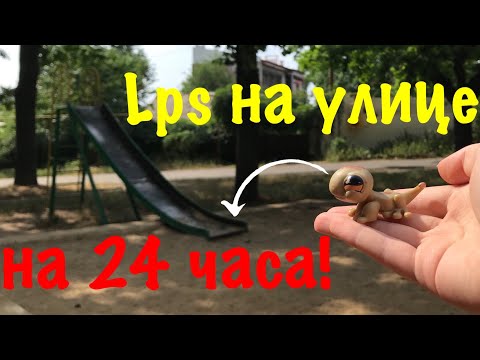 Видео: LPS: LPS НА УЛИЦЕ НА 24 ЧАСА!? (ОПЫТ #4)