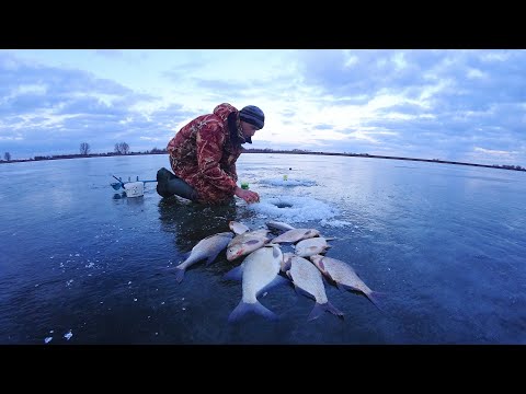 Видео: ЛЕЩЕЙ ХАПНУЛ, ПОТОМ ПОПЁРЛА, ОДНА ЗА ОДНОЙ. Поймал и запёк. Зимняя рыбалка на леща, крупная густера