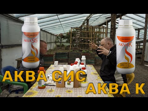 Видео: Аква СИС и Аква К для выращивания самой большой тыквы🎃