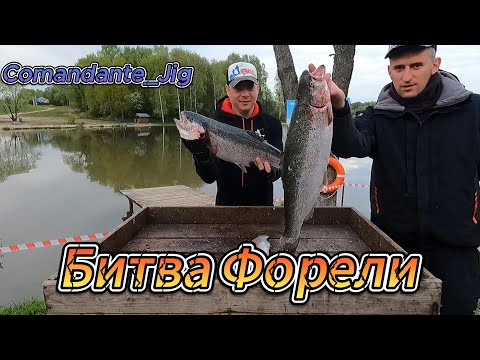 Видео: Зверские поклевки огромной форели!!! Платная рыбалка на форель д. Щеглятево Тихая Заводь. Топ Место!