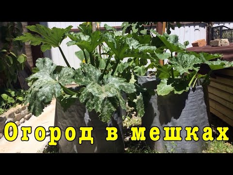 Видео: Огород в мешках, мешки клумбы. Наш эксперимент