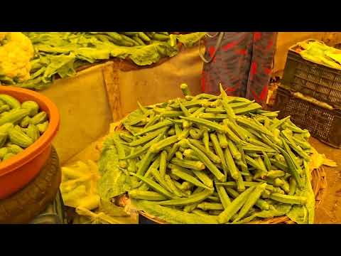 Видео: Петухи в Мапусе