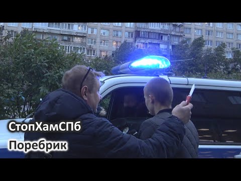 Видео: СтопХамСПб - Поребрик