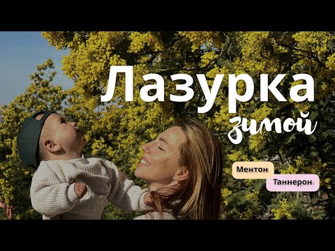 Видео: Что делать в Ницце зимой? Ментон и лимоны, Таннерон и мимоза