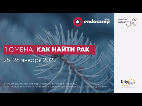 Видео: Endocamp - Как найти рак (день 1)