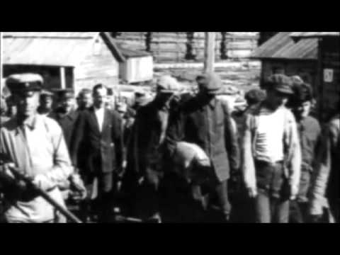 Видео: Беломорканал   Скрипач