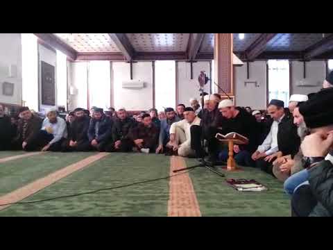 Видео: турчи на даргинском