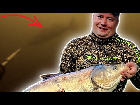 Видео: Опасная рыба порвала новый костюм. Экстремальная подводная охота.