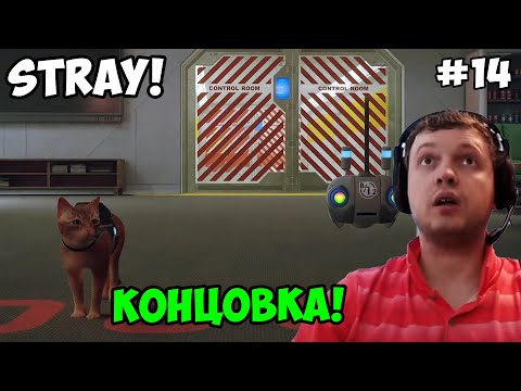 Видео: Папич играет в Stray! Концовка! 14