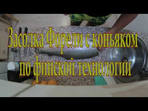 Видео: Засолка Форели с коньяком по финской технологии