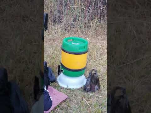 Видео: Эркин ТОО 77(2)