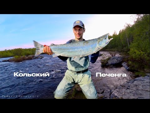 Видео: Печенга (4k) Рыбалка на сёмгу.