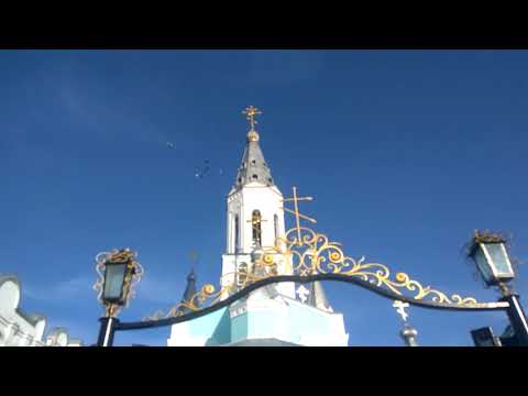 Видео: Станица Брюховецкая-Переясловская