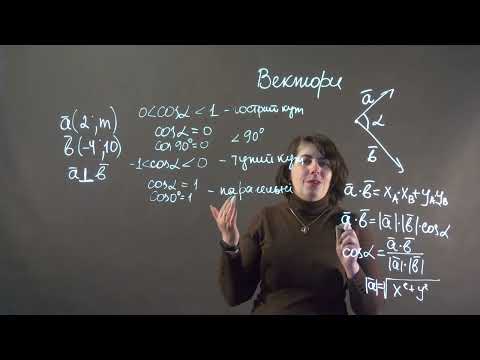 Видео: Вектори. Кути між векторами | Геометрія 9 клас