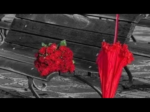 Видео: 💌 Какво иска да Ви каже любимият човек сега? 💌