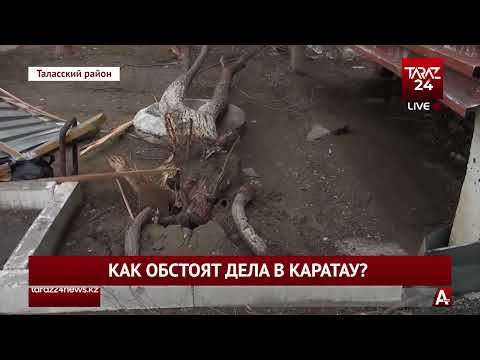 Видео: КАК ОБСТОЯТ ДЕЛА В КАРАТАУ?