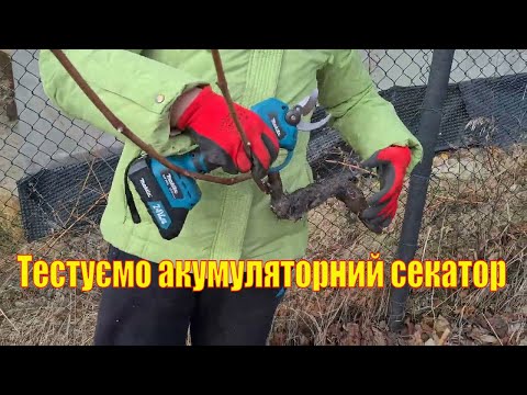 Видео: Тестируем аккумуляторный секатор и мини-пилу #Makita