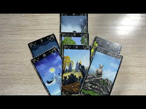 Видео: 4 КОРОЛЯ. ЧУВСТВА, МЫСЛИ, ДЕЙСТВИЯ