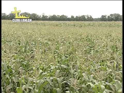 Видео: Село і люди: "Почни Європу з себе"