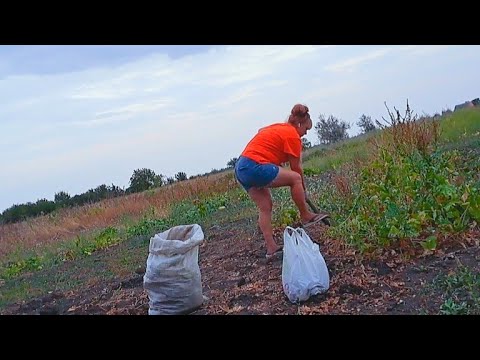 Видео: ПРОСТО УЖАС ! Вора знаем в лицо ! МРАЗИ ЖИВУТ СРЕДИ НАС !