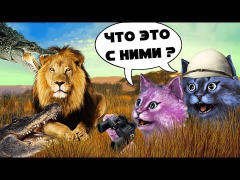 Видео: БЕЗУМНАЯ САВАННА! ЧТО ДЕЛАЮТ ЭТИ КРОКОДИЛЫ?! РОБЛОКС roblox Wild Savanna