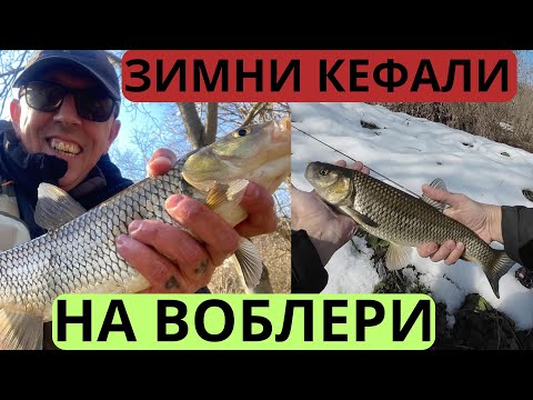 Видео: ЗИМНИ КЕФАЛИ НА ВОБЛЕРИ