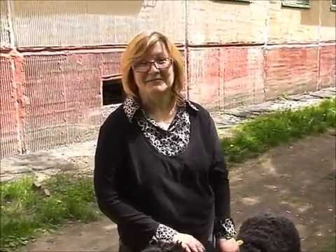 Видео: До/ после черный терьер Лера  - Видео отзыв Фроловой Ирины | Кинологический центр Барс